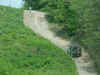 rr017.jpg (62609 bytes)